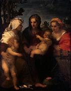 Andrea del Sarto Madonna and Child with Sts Catherine, Elisabeth and John the Baptist oil painting on canvas